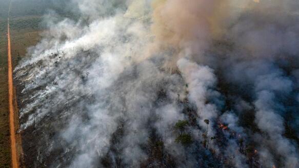Luftaufnahme eines brennenden Waldes aus dem große Rauchschwaden empor steigen, die den Horizont verdecken