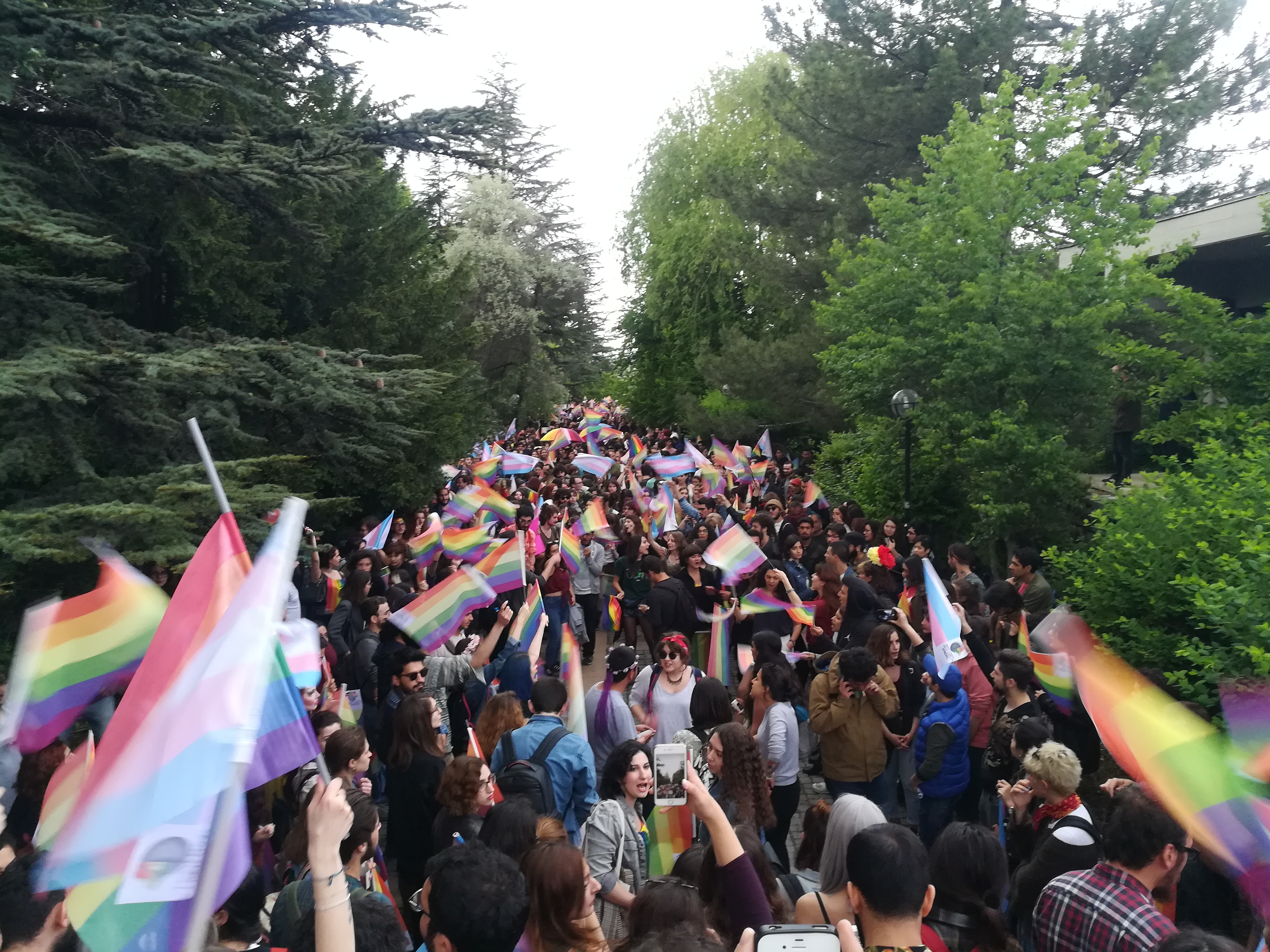 Viele Menschen auf einem Weg zwischen Bäumen mit Regenbogenflaggen