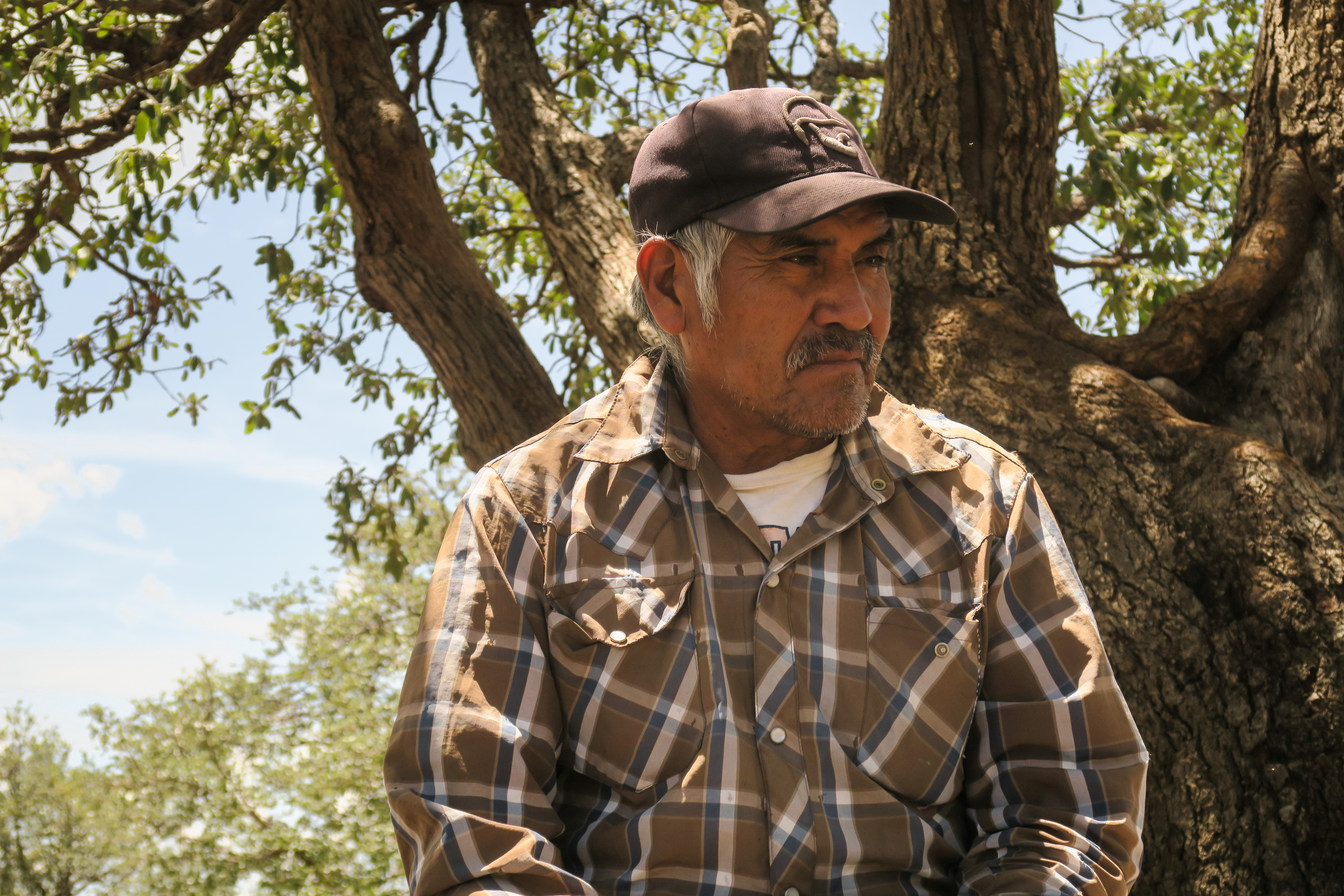 Portraitfoto von Julián Carrillo