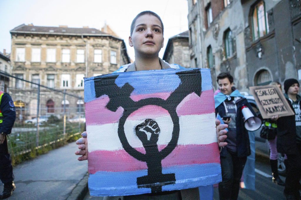 Person bei einer Demonstration trägt ein Schild in den Farben und mit dem Symbol der Transgender-Bewegung