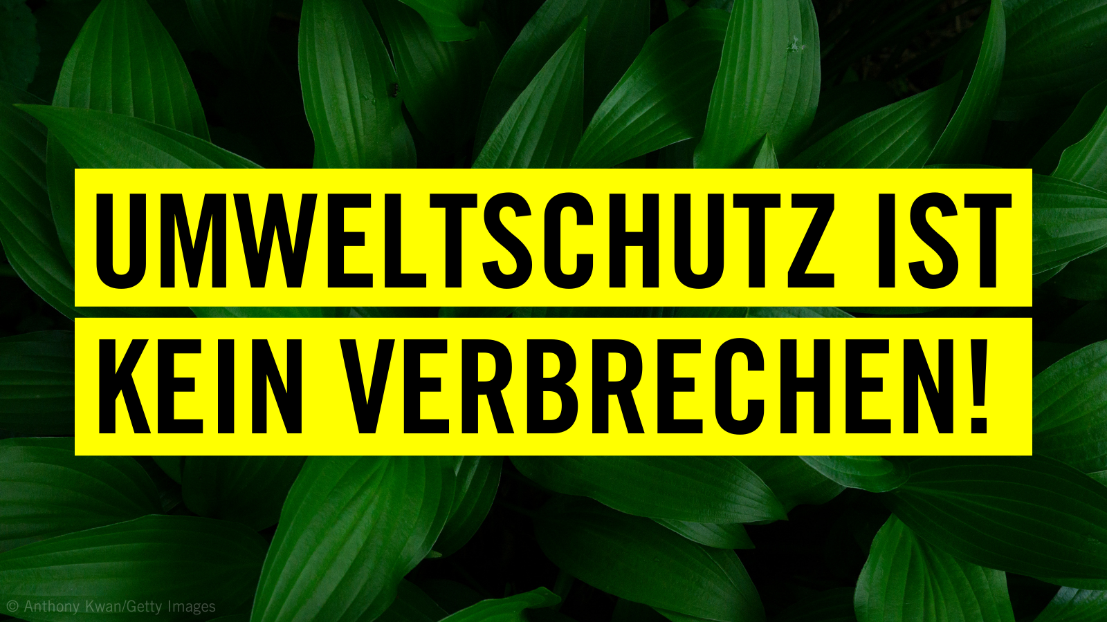 Zentral im Bild: Zwei gelbe Balken übereinander mit der Aufschrift "Umweltschutz ist kein Verbrechen". Im Hintergrund ist eine Nahaufnahme einer dunkelgrünen Pflanze.