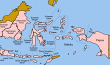 Lage Papuas in Indonesien