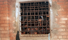 Völlig überfüllte Zelle in einem nigerianischen Gefängnis (2007)