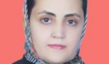 Mahboubeh Karami