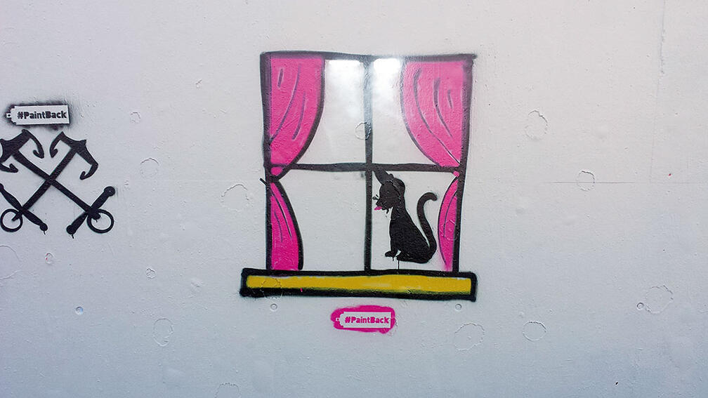 Ein Graffito zeigt eine Katze hinter einem Fenster.