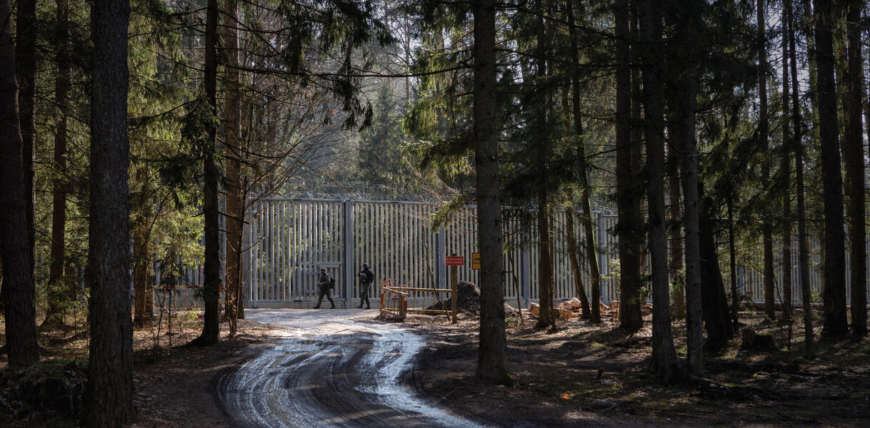 Ein Waldstück, mitten darin ein fünfeinhalb Meter hoher Grenzzaun, vor dem Grenzschützer patroullieren.