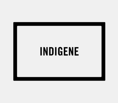 Textfeld "Indigene"