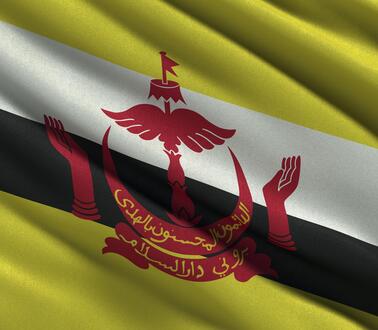 Die Flagge des Sultanats Brunei in den Farben gelb, weiß und schwarz. Zentriert ist ein rotes Emblem mit arabischer Aufschrift.