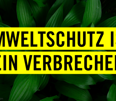 Zentral im Bild: Zwei gelbe Balken übereinander mit der Aufschrift "Umweltschutz ist kein Verbrechen". Im Hintergrund ist eine Nahaufnahme einer dunkelgrünen Pflanze.