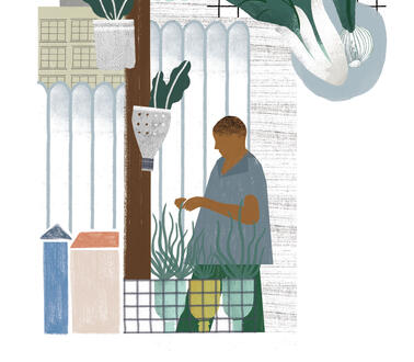 Eine Zeichnung, auf der ein Mann sich um Pflanzen kümmert, die in Töpfen vor einem Zaun stehen, im Hintergrund sind Häuser, über ihm symbolhaft und übergroß ein Plattgemüse (Pak Choi) abgebildet.