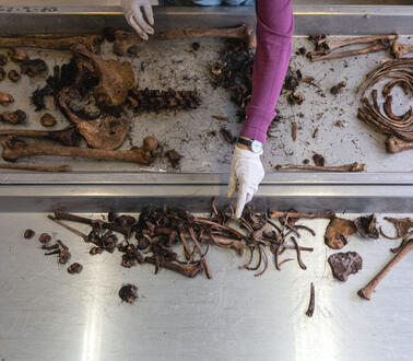 Auf einem metallenen Untersuchungstisch liegen menschliche Knochen und Dreck vom Waldboden, zwei Hände mit Gummihandschuhen einer Person sind gerade dabei, diese Knochen zu untersuchen.