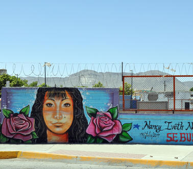 Ein Wandgemälde auf einer Mauer draußen, das den Kopf einer Frau abbildet, daneben der Schriftzug "Nancy Iveth Navarro".