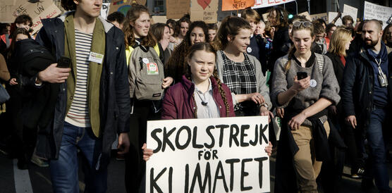 Junge Menschen demonstrieren und halten Plakate hoch mit Titeln wie "Schulstreik für das Klima"