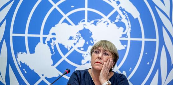 Das Bild zeigt eine Frau, die vor einem blau weißen Hintergrund sitzt. Der Hintergrund zeigt das Logo der Vereinten Nationen.