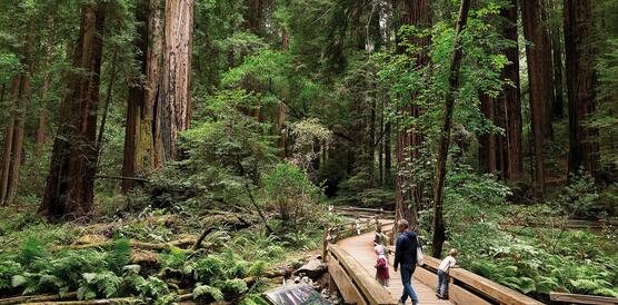 Dichter Wald, ein Bach, eine Brücke, darauf zwei Kinder und ein Mann.