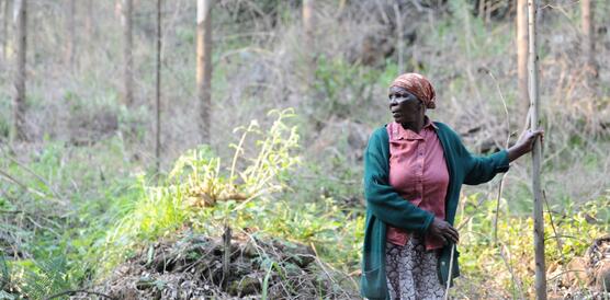 Das Foto zeigt Phumzile Dlamini in einem Wald. Sie blickt nach rechts. In ihrer rechten Hand hält sie einen Stock. Mit ihrer linken Hand stützt sie sich an einem dünnen Baumstamm ab.