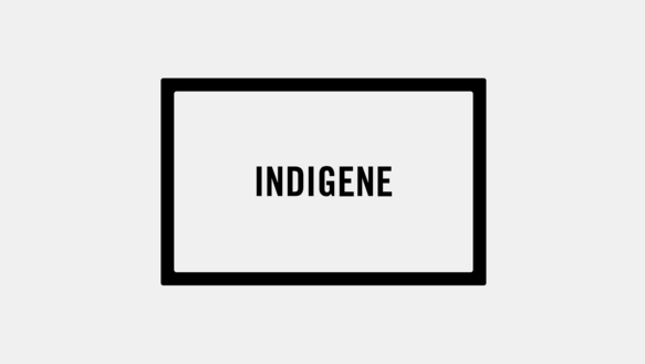 Textfeld "Indigene"