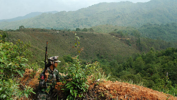 Ein Kämpfer mit Waffe steht auf einem Hügel und blickt auf ein bewaldetes Tal