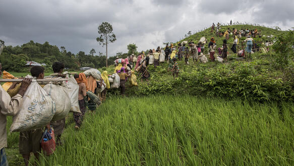 Eine Gruppe von Menschen mit Gepäck in Reisssäcken reiht sich an einem grünen Hügel