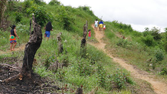 Vier Frauen und zwei Kinder gehen einen Hügel hoch, im Vordergrund stehen die Reste eines abgebrannten Baumes