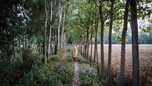 Eine verhüllte Frau läuft mit Rücken zur Kamera einen Pfad zwischen Bäumen entlang
