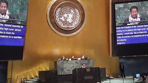 In einem Holzgetäfelten großen Konferenzraum, mit dem Logo der UN, hält eine schwarze Frau eine Rede an die Delegierten. An der Wand hängen zwei Videobildschirme, auf denen man sie noch ein mal ganz nah sieht
