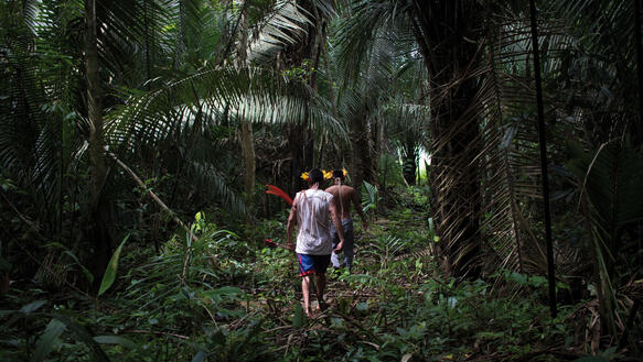 Zwei Männer laufen durch den Regenwald