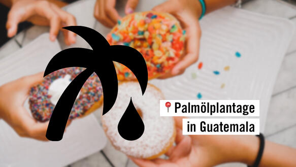 Auf einem Foto von drei Donuts ist eine Grafik einer Palme, von der ein Tropfen fällt. Zudem ist eine Ortsmarke abgemildet und dahinter steht "Palmölplantage in Guatemala"