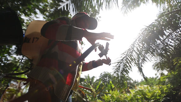 Das Bild zeigt eine_n Arbeiter_in auf einer Palmölplantage mit einem Rückenspritzgerät