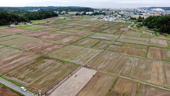 Eine in Felder aufgeteilte flache Landschaft, in der Reis angebaut wird, am Horizont erheben sich Hügel. 