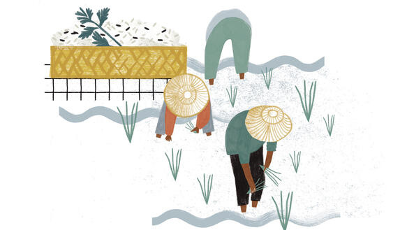 Illustration von Menschen mit Strohhut, die beim Reispflanzen sind.