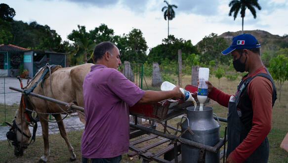 Zwei Männer füllen Milch in einen Karnister auf einem Pferdewagen.