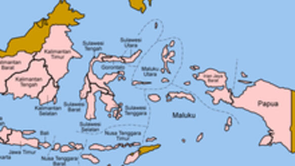 Lage Papuas in Indonesien