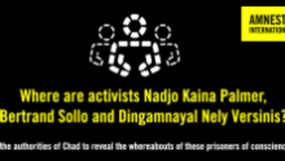 Wo sind die Aktivisten Nadjo Kaina Palmer, Bertrand Sollo und Dingamnayal Nely Versinis?