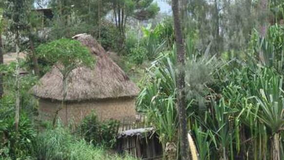 Traditionelle Behausung in Porgera, Papua-Neuguinea