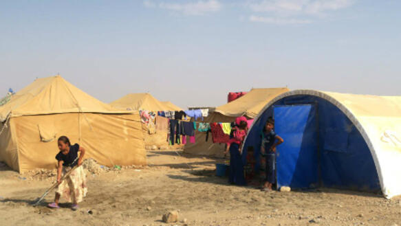 Nachdem der "Islamische Staat" Mossul eingenommen hatte, flüchteten Tausende. Hier ein Camp in Amariya al-Falluja