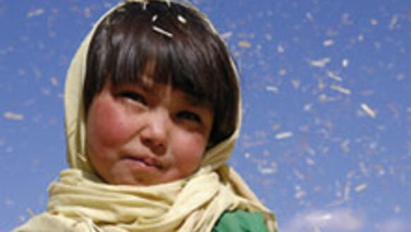 Szene aus dem Film "Buddha Collapsed out of Shame"